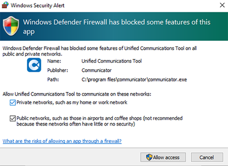 Windows Security Alert - Allow access